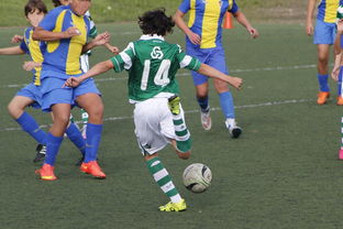 星空娱乐app-上海申花再遭柔佛新山逆转，1-3失利痛失连胜机会